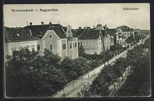 AK Hermannstadt, Strassenpartie Hallerwiese aus der Vogelschau