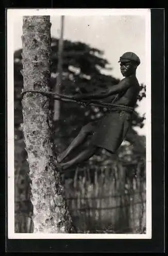 Foto-AK Casimir Zagourski, Coupeur de fruits de Palme