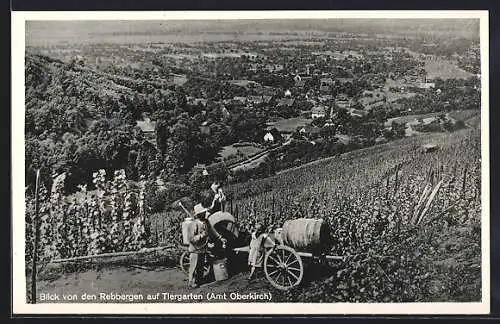 AK Tiergarten / Oberkirch, Blick vom Weinberg Rebbergen auf den Ort