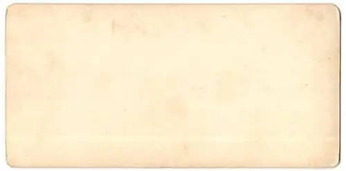 Stereo-Fotografie NPG, Berlin-Steglitz, Ansicht Riva / Gardasee, Ponalestrasse