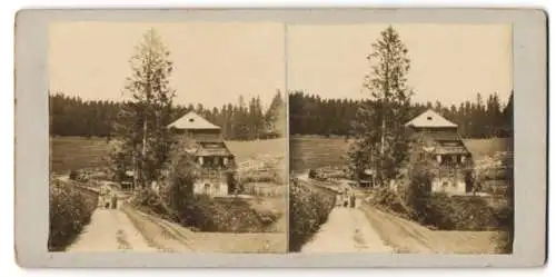 Stereo-Fotografie unbekannter Fotograf, Ansicht Furtwangen, Strassenansicht mit Gehöft