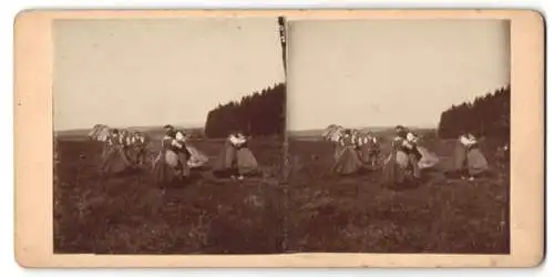 Stereo-Fotografie Trachtenmädchen proben Volkstanz auf einem Feld