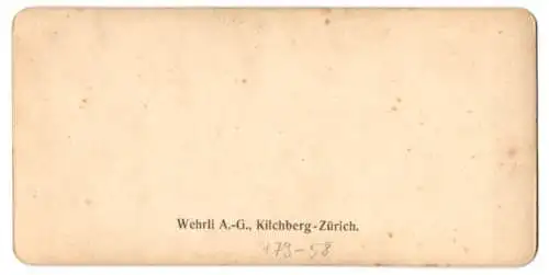 Stereo-Fotografie Wehrli AG, Kilchberg-Zürich, Ticino, Contadina verzaschesa