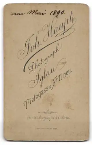 Fotografie Joh. Haupt, Iglau, Niefegasse 11, Portrait einer Dame mit elegantem Haarknoten