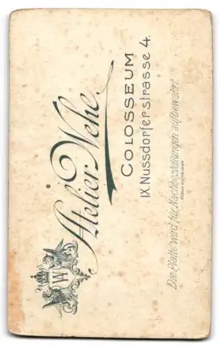 Fotografie Atelier Wehl, Wien, Nussdorferstrasse 4, Porträt einer Dame mit elegantem Kleid