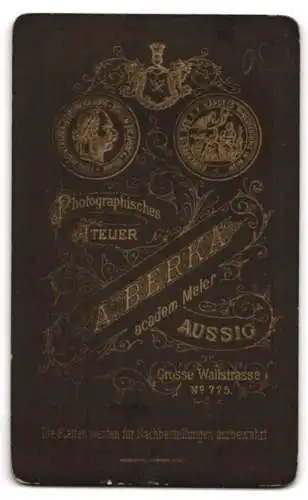 Fotografie A. Berka, Aussig, Grosse Wallstrasse 775, Porträt eines Mannes mit Schnurrbart