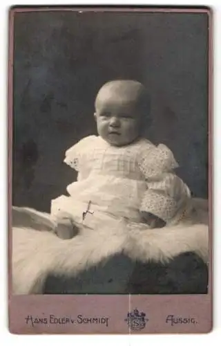 Fotografie Hans Edler v. Schmidt, Aussig, Teplitzerstrasse 13, Porträt eines sitzenden Babys in weissem Kleid