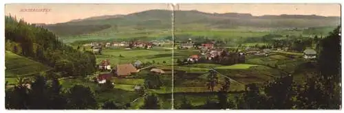 Klapp-AK Hinterzarten, Gesamtansicht gegen die Berge