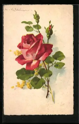 Künstler-AK Catharina Klein: Rote Rose mit Knospen und grünen Blättern