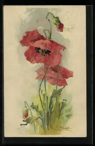 Künstler-AK Catharina Klein: Rote Mohnblumen auf einer Wiese