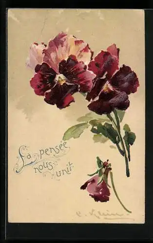 Künstler-AK Catharina Klein: Dunkelrote Stiefmütterchen in voller Blüte