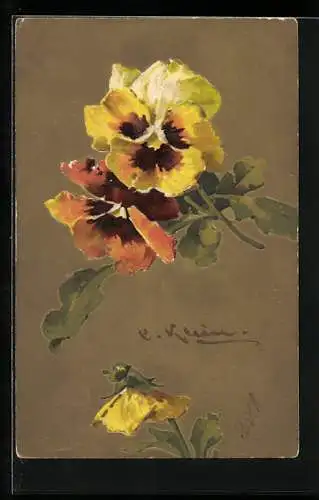 Künstler-AK Catharina Klein: Gelbe Stiefmütterchen vor braunem Hintergrund