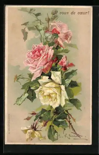 Künstler-AK Catharina Klein: Rosa und weisse Rosenblüten mit grünen Blättern