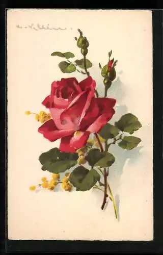 Künstler-AK Catharina Klein: Rote Rose mit Knospen und grünen Blättern