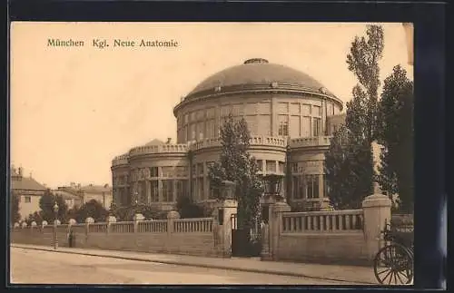 AK München, Kgl. neue Anatomie