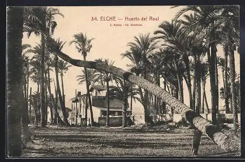 AK Elche, Huerto del Real