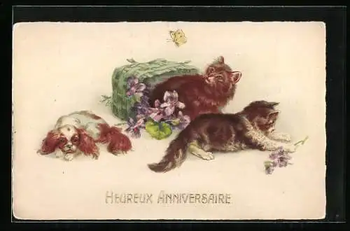 AK Katzen beim Spiel mit Blumen