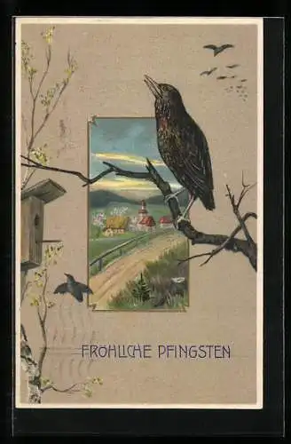 AK Vogel zwitzschert zu Pfingsten