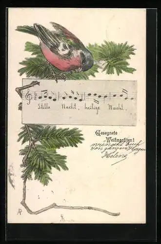 Künstler-AK Singvogel auf einem Tannenzweig mit Weihnachtslied