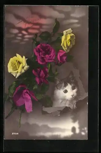 AK Katze mit Rosen
