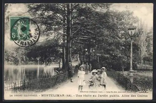 AK Montélimar, Une visite au Jardin public. Allée des Cèdres