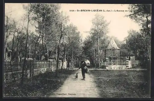 AK Saint-Brévin-l`Océan, l`avenue du Lac, un homme avec un chien sur le chemin