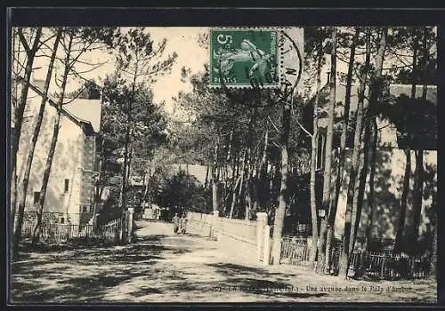 AK La Baule, Une Avenue dans le Bois d`Amour