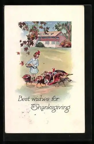 AK Thanksgiving, Mädchen füttert eine Schar Truthähne