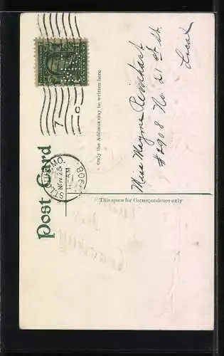 AK Thanksgiving Greetings, Truthahn auf einem Herbstfeld, Blumen-Passepartout