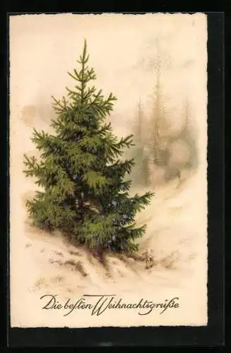 AK Weihnachtgsgrüsse, Ein Tannenbaum im verschneiten Wald