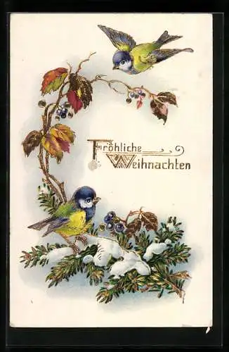 AK Fröhliche Weihnachten, Zwei Blaumeisen mit einem verschneiten Zweig