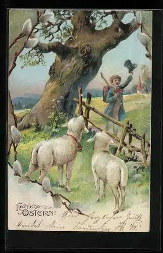 AK Fröhliche Ostern, Schafe beobachten einen Wanderer
