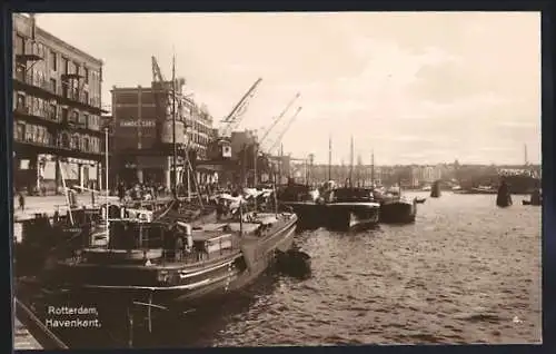 AK Rotterdam, Havenkant, Teilansicht vom Hafen