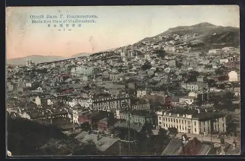 AK Vladivostock, Ortsansicht aus der Vogelschau
