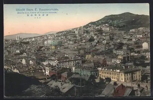 AK Vladivostok, Bird`s Eye View
