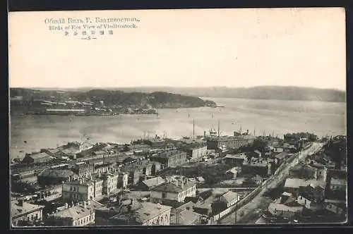 AK Vladivostok, Bird`s Eye View