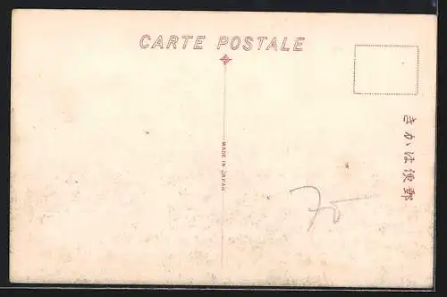 AK Vladivostok, Bird`s Eye View