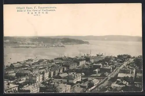 AK Vladivostock, Birds of Eye View