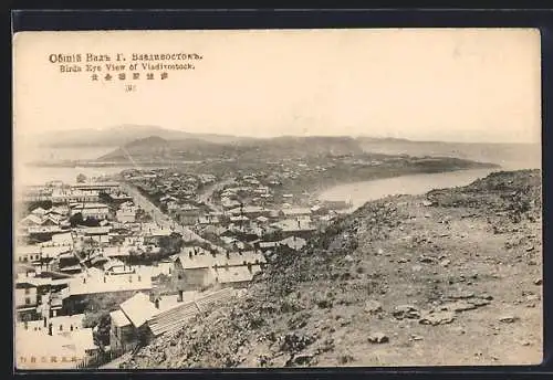 AK Vladivostok, Bird`s Eye View