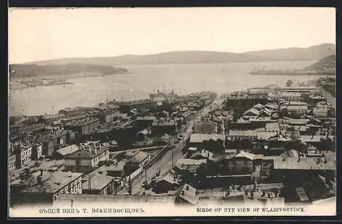 AK Wladiwostok, Strassenpartie und Hafen aus der Vogelschau