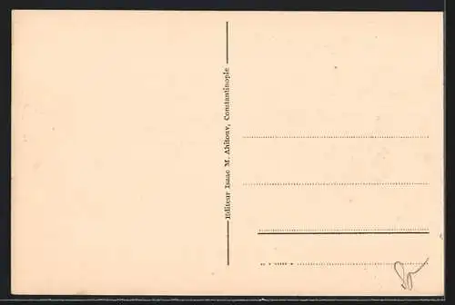 AK Constantinople, L`entree du port et la Mosquee du Tophane