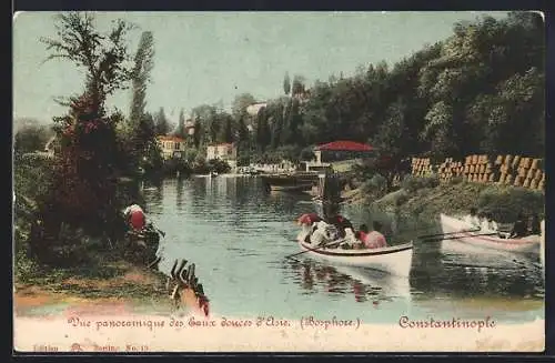 AK Constantinople, Vue panoramique des Eaux douces d`Asie