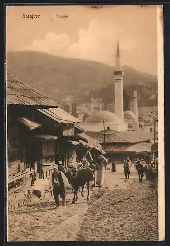 AK Sarajevo, Carsija