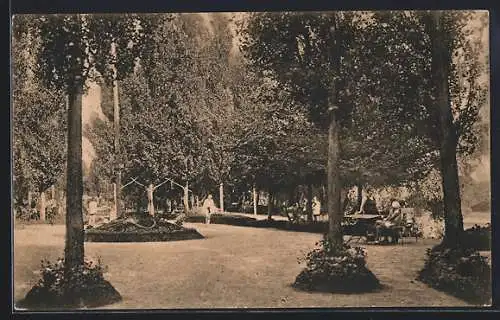AK Satu-Mare, Plaja