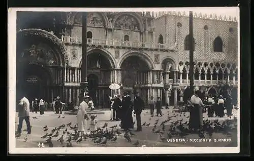 AK Venezia, Piccioni a S. Marco
