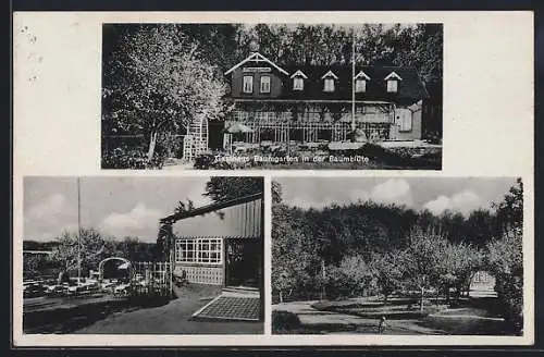 AK Ascheffel bei Eckernförde, Gasthaus Baumgarten in der Baumblüte