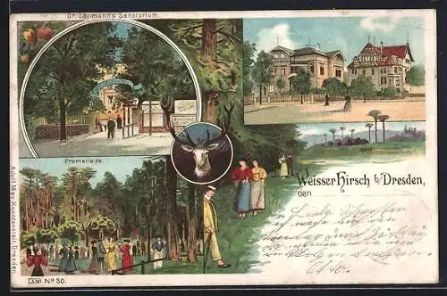 Lithographie Dresden-Weisser Hirsch, Promenade, Dr. Lahmann's Sanatorium