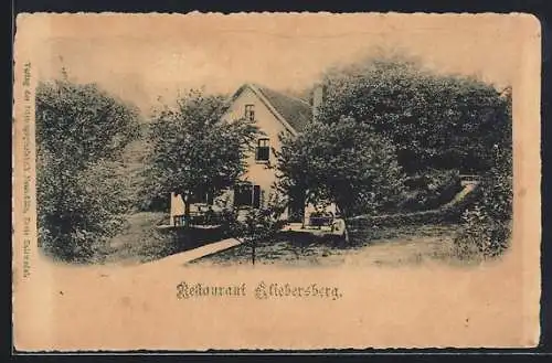AK Fallersleben /Wolfsburg, Forsthaus Klieversberg mit Garten