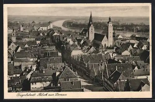 AK Ingolstadt, Blick über die Dächer und zur Donau