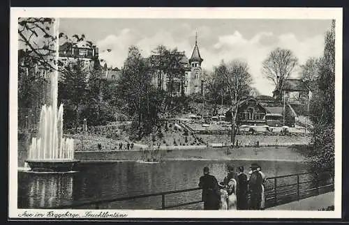 AK Aue im Erzgebirge, Leuchtfontäne im Park